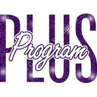 GLT95 PURPLE GLITTER Thumbnail